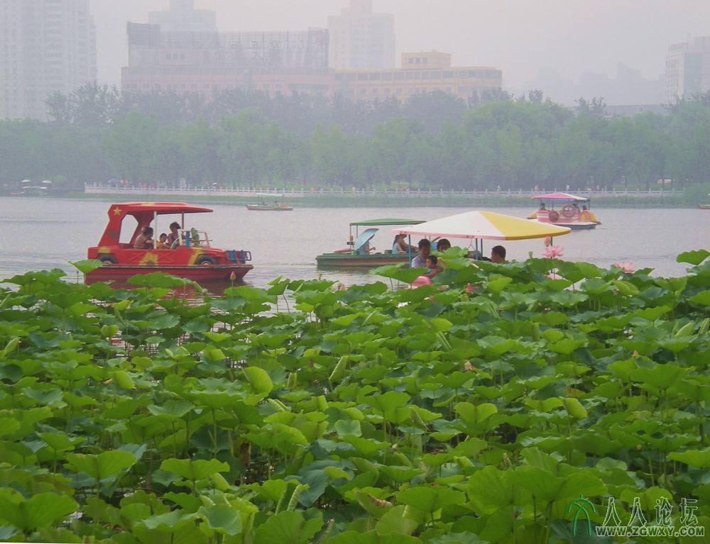泛舟莲花湖2013.7.12