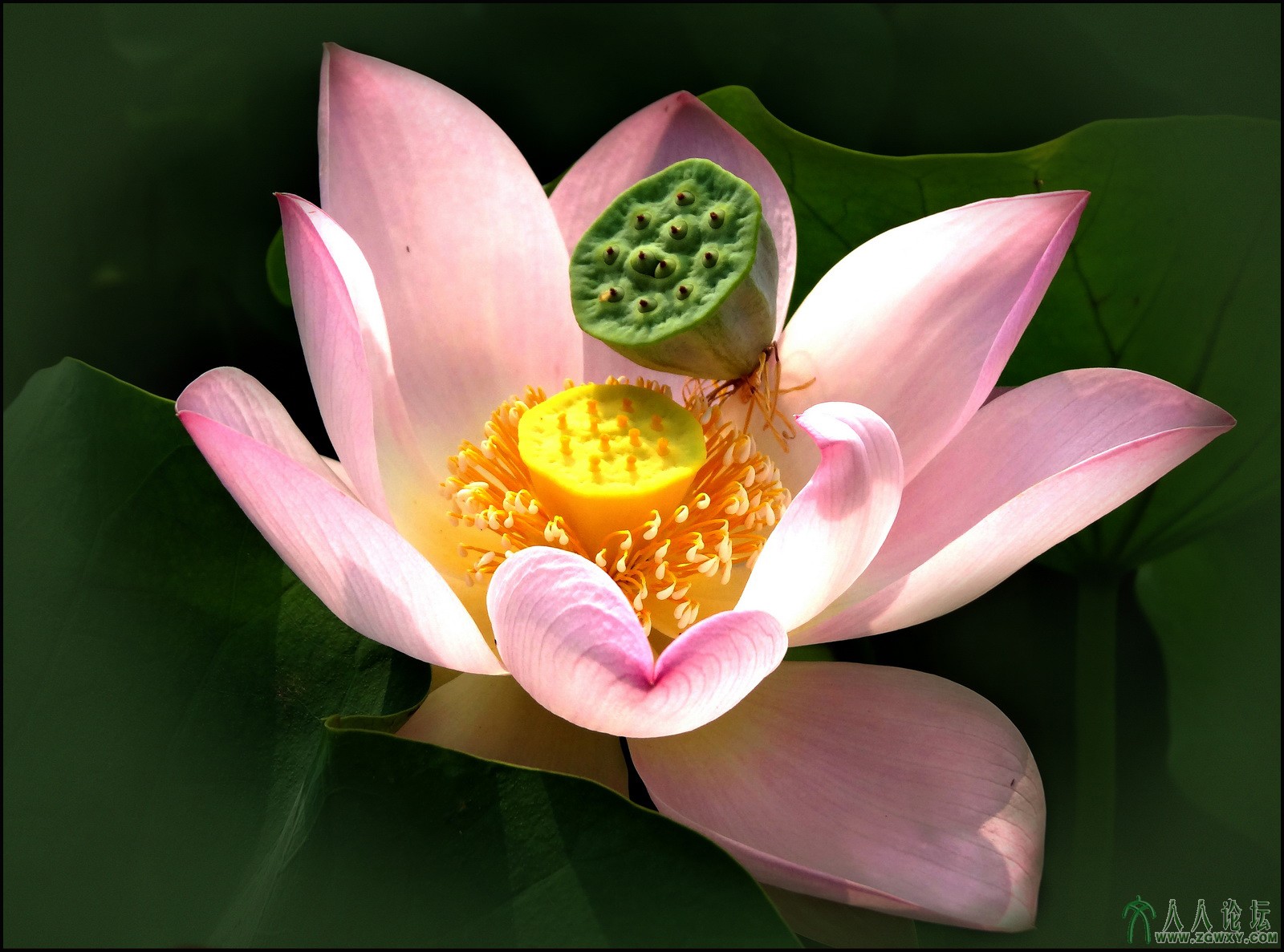 09 亲情 13-8-8 摄