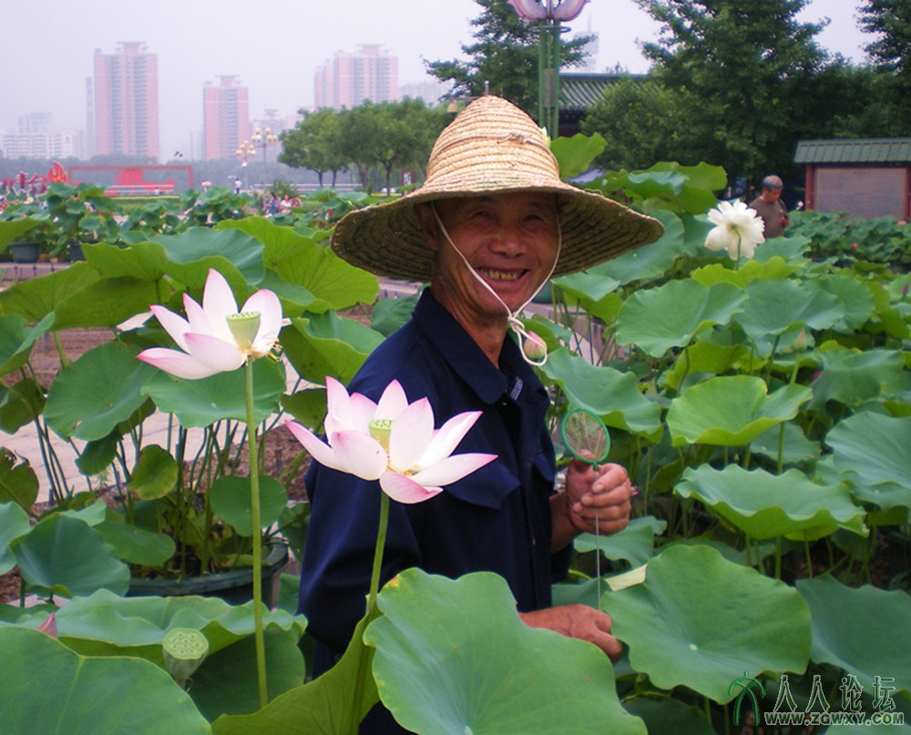 丛中笑 2013.7.12.jpg