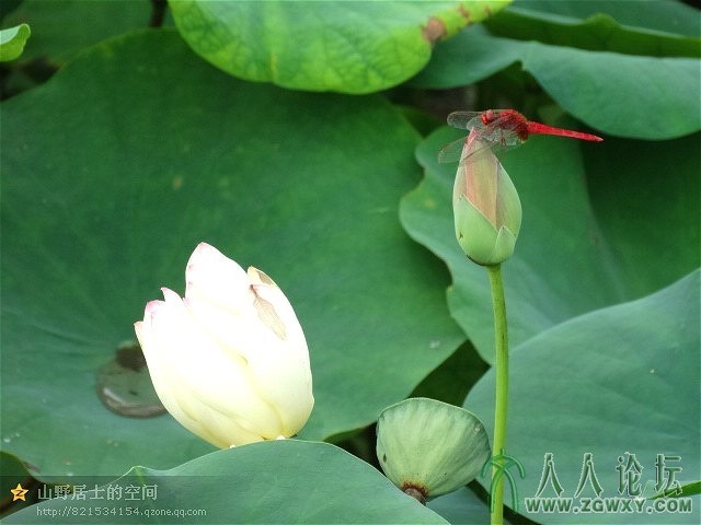 三代同堂迎客来