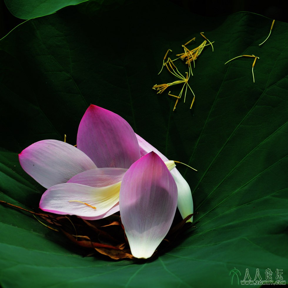 05 nEO_IMG_谢幕.jpg