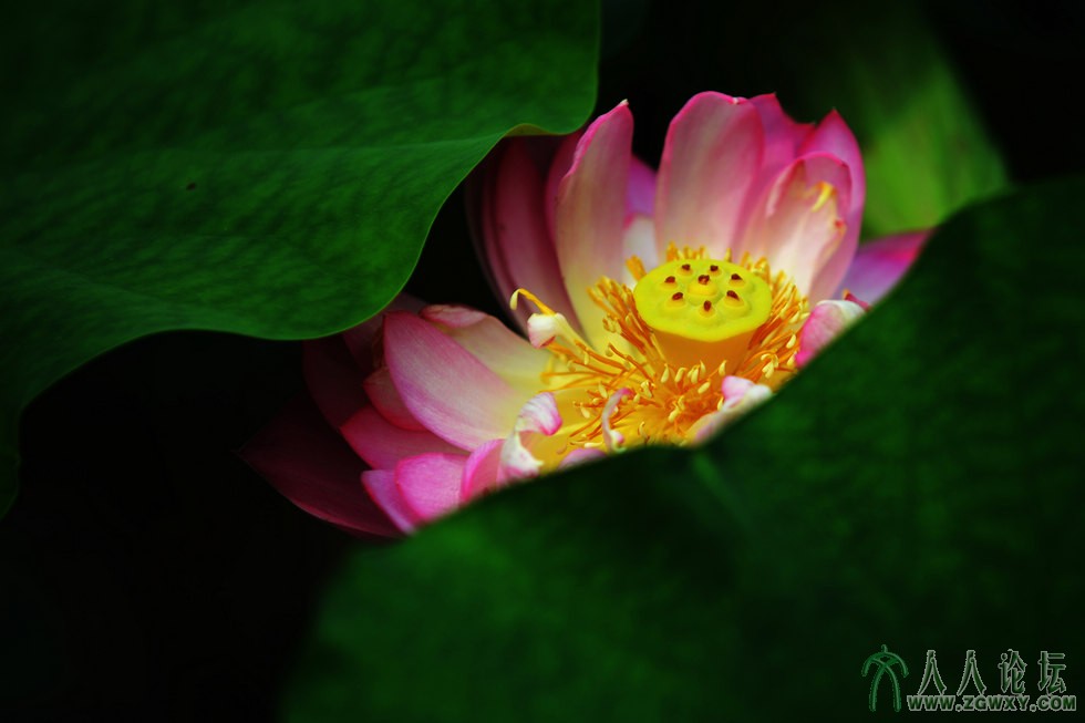 07 nEO_IMG_呵护.jpg