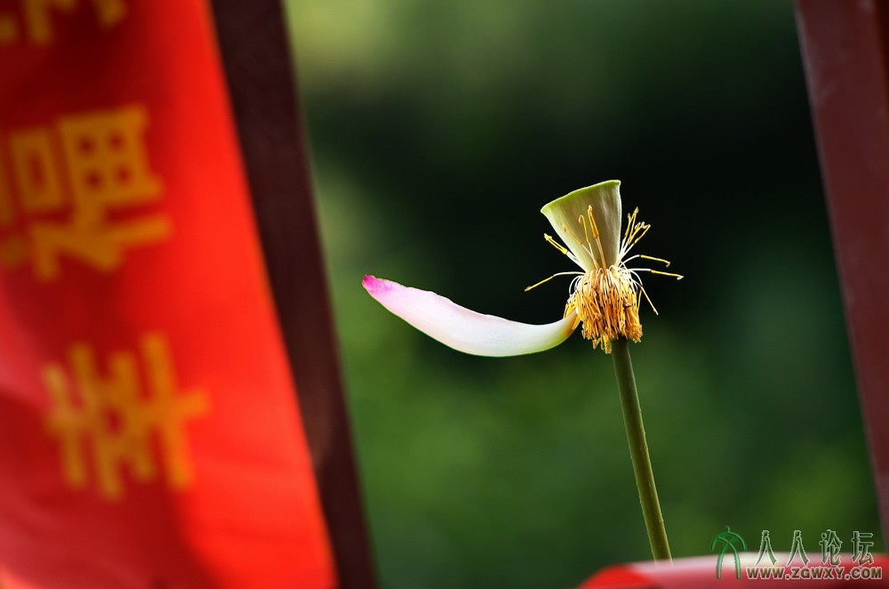 5_【留下一片幸福】摄影 庄丽丽 电话 13661393261.jpg