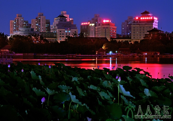 _1【荷塘夜色】摄影 张铁环 电话 13661393261.jpg