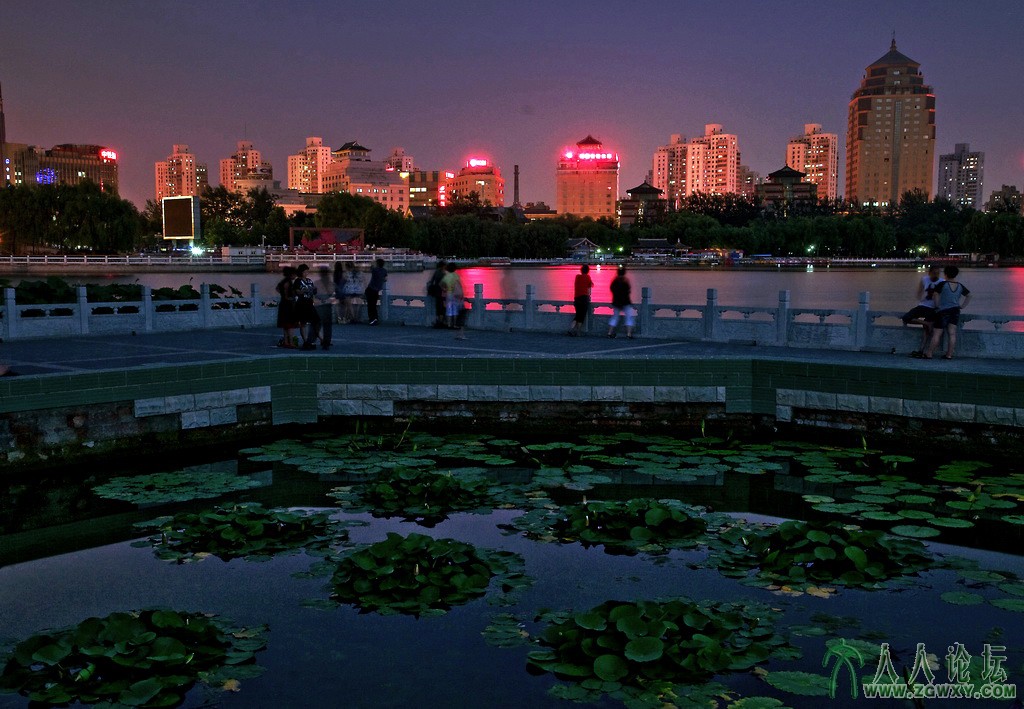 _2【莲花池之夜】 摄影 张铁环 电话 13661393261.jpg