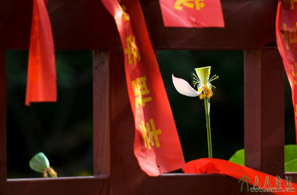 _5【幸福和谐]】 摄影 张铁环 电话 13661393261.jpg