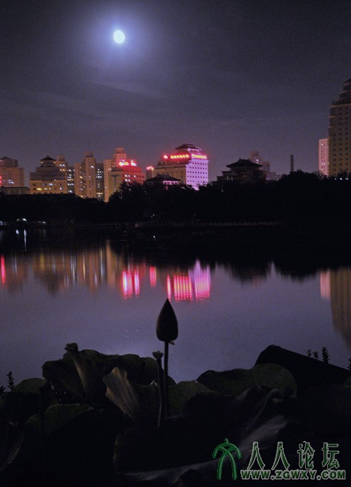 _7【月光曲】 摄影 张铁环 电话 13661393261.jpg