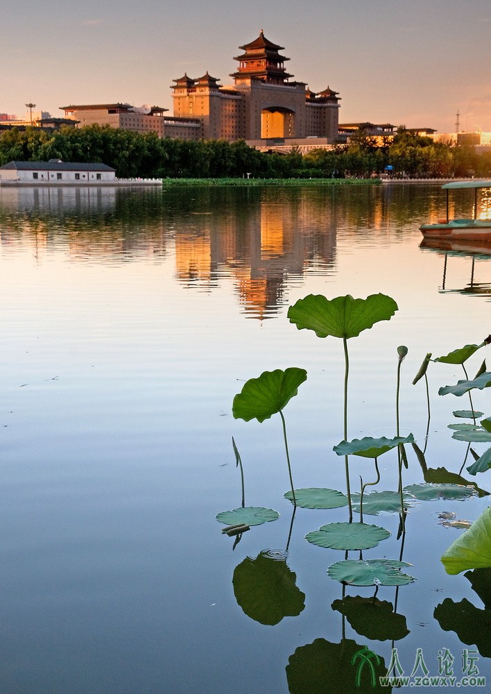 9【人间重晚晴】 摄影 张铁环 电话 13661393261.jpg