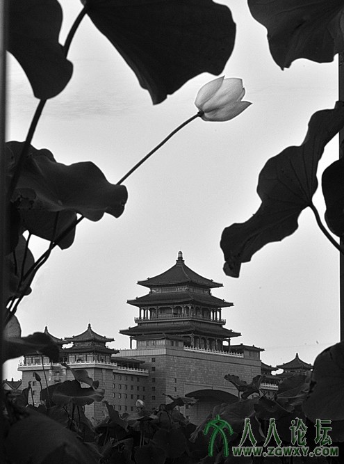 _10【我的北京】 摄影 张铁环 电话 13661393261.jpg