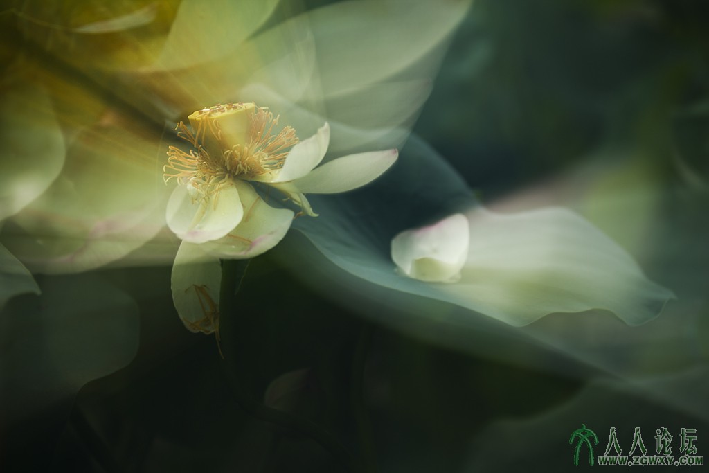 柏联 1537293707@qq.com  2.jpg