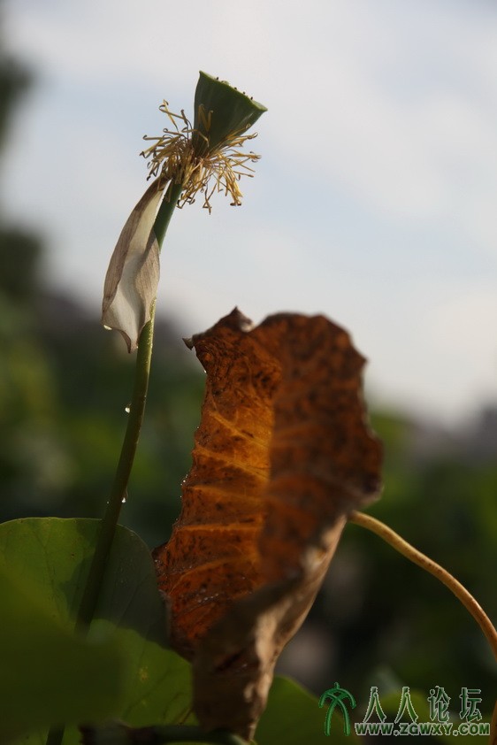 陈建国，13718816736IMG_3770大海  715355372.jpg