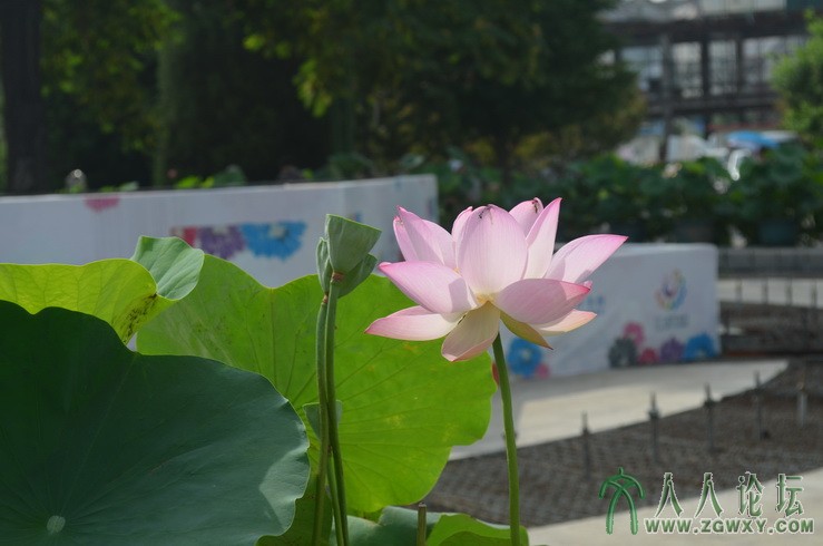 承诺 1661184172@qq.com 4.jpg