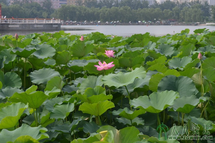 承诺 1661184172@qq.com 6.jpg