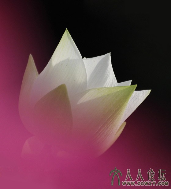 刁小熙 xxdiao.001@163.com 2.jpg