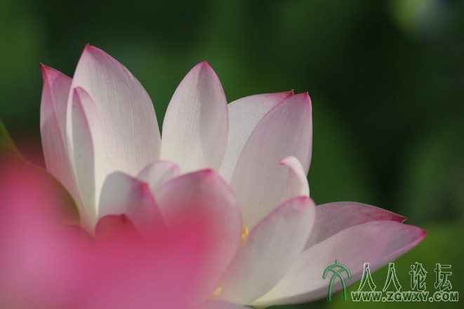 刁小熙 xxdiao.001@163.com 3.jpg