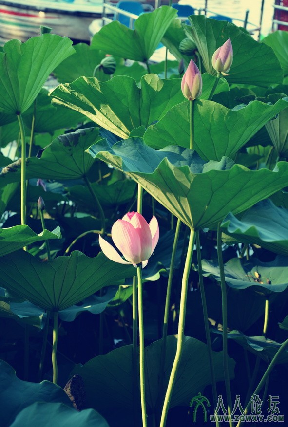 恶魔蓝 778515767@qq.com 2.jpg