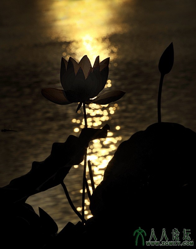 红色十月 1594242264@qq.com 3.jpg