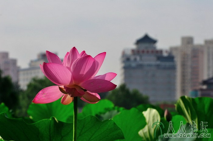 葒顏.. 1450464838@qq.com 5.jpg