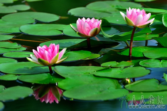 葒顏.. 1450464838@qq.com 8.jpg