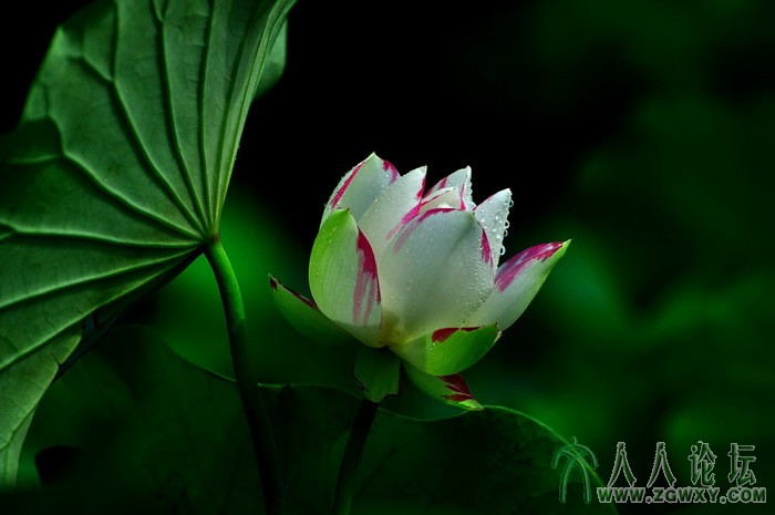 葒顏.. 1450464838@qq.com 10.jpg