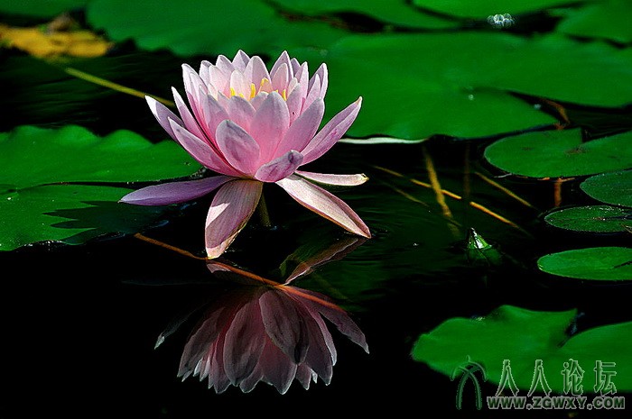 葒顏.. 1450464838@qq.com 11.jpg