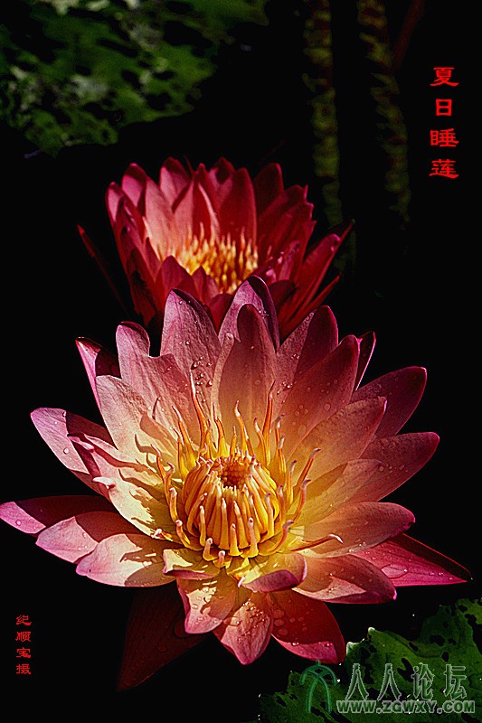 纪顺宝 13691086660@163.com 3.jpg