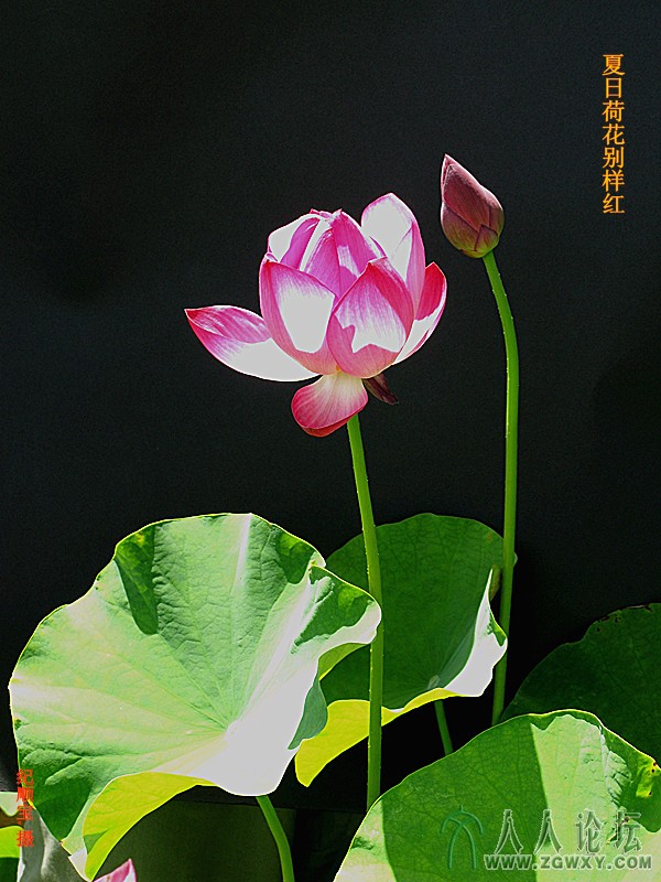 纪顺宝 13691086660@163.com 1.jpg