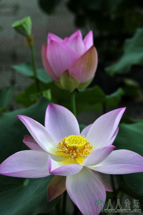 李贺祥tslhx1949@126.com 2.JPG