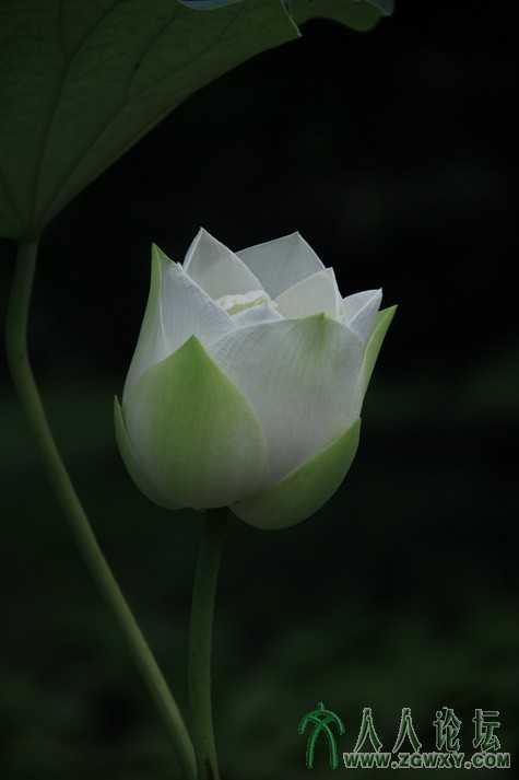 李远 18600896990@163.com 4.JPG