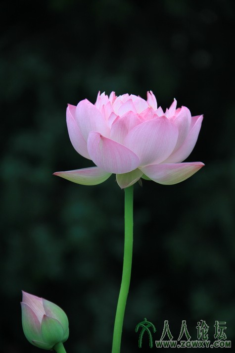 李远 18600896990@163.com 1.JPG