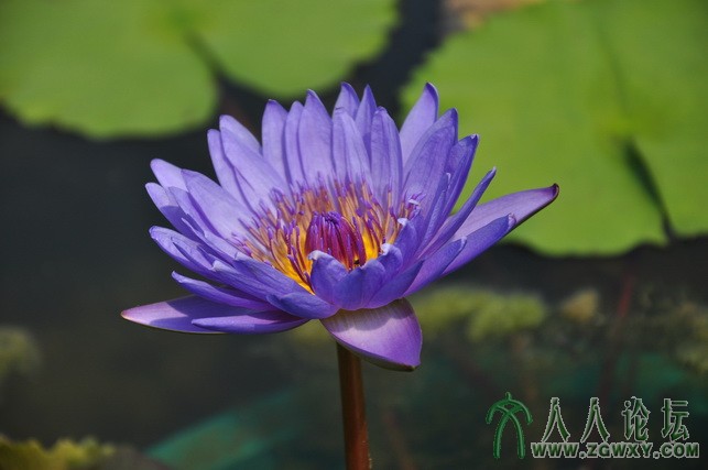 恋之水晶 1404247335@qq.com 1.JPG