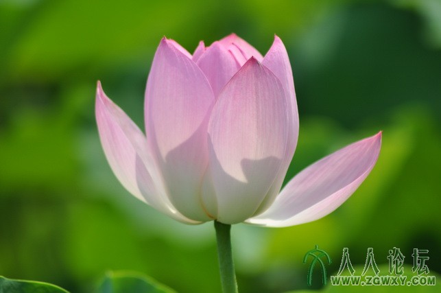 恋之水晶 1404247335@qq.com 2.JPG