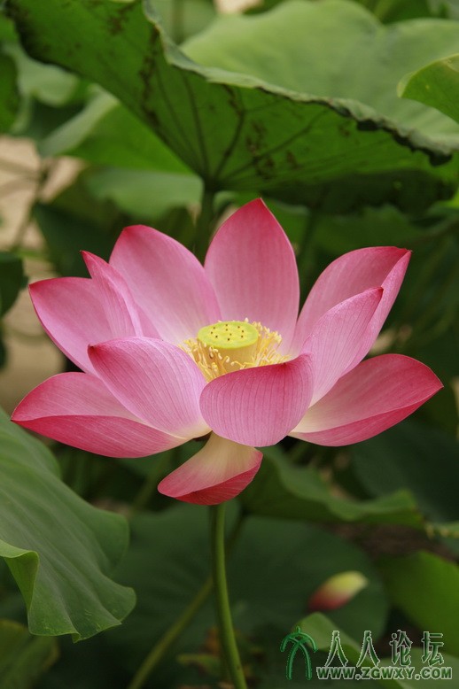 路人乙 529629149@qq.com2.JPG