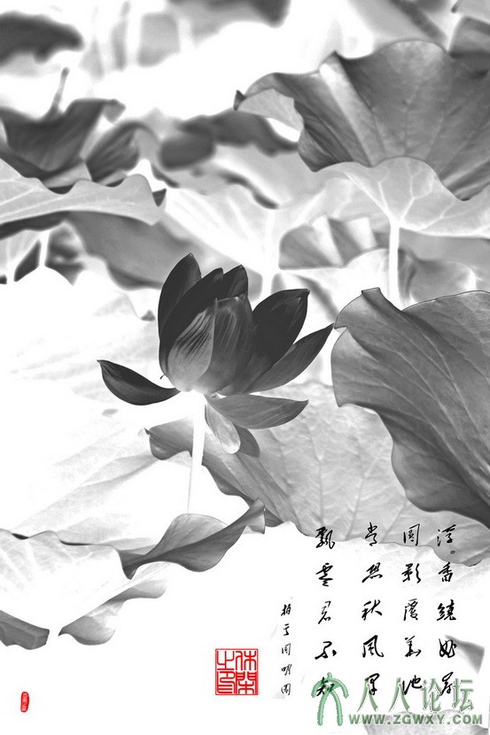 休闲解闷 124251535@qq.com 4.jpg