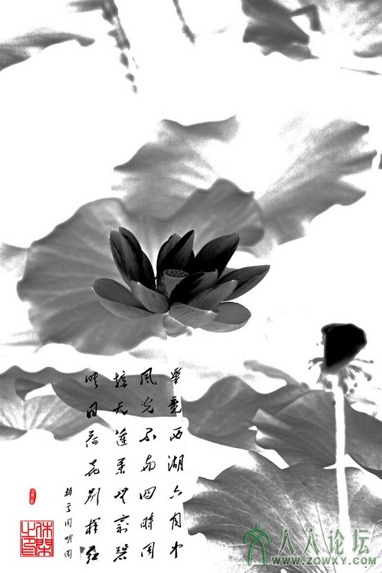 休闲解闷 124251535@qq.com 3.jpg