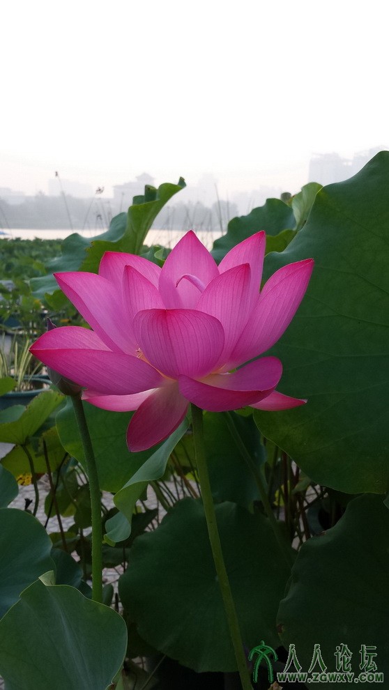 徐瑞 xuruill@126.com.jpg