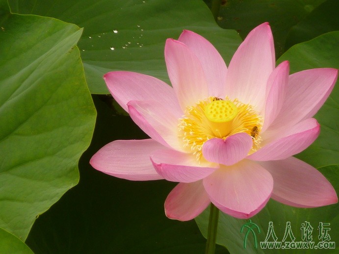 雪地里打滚儿 380497528@qq.com.JPG