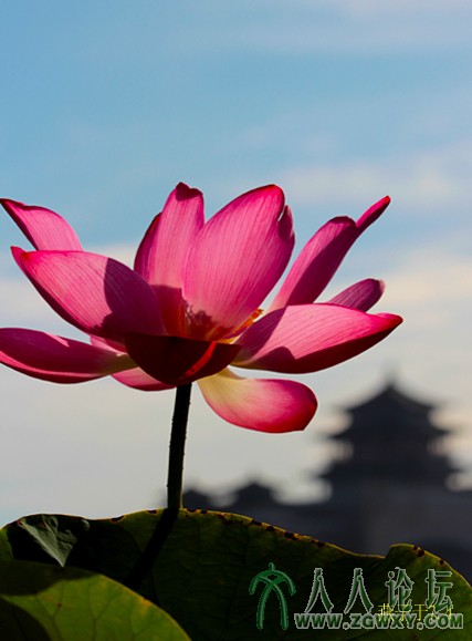 燕子 xym_1018@126.com 2.jpg