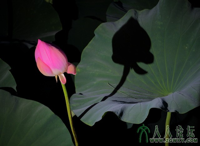 在水一芳 158864141@qq.com 2.jpg