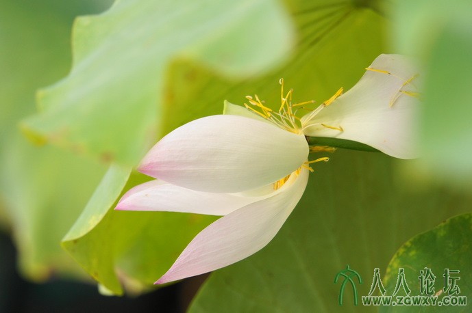 hao hao5191@163.com 2.JPG