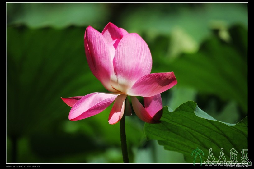 主席 1506499453@qq.com 4.jpg