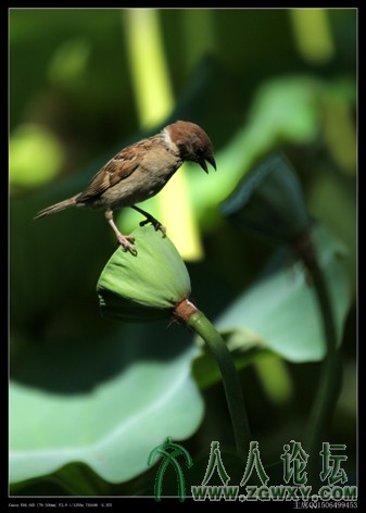 主席 1506499453@qq.com 1.jpg