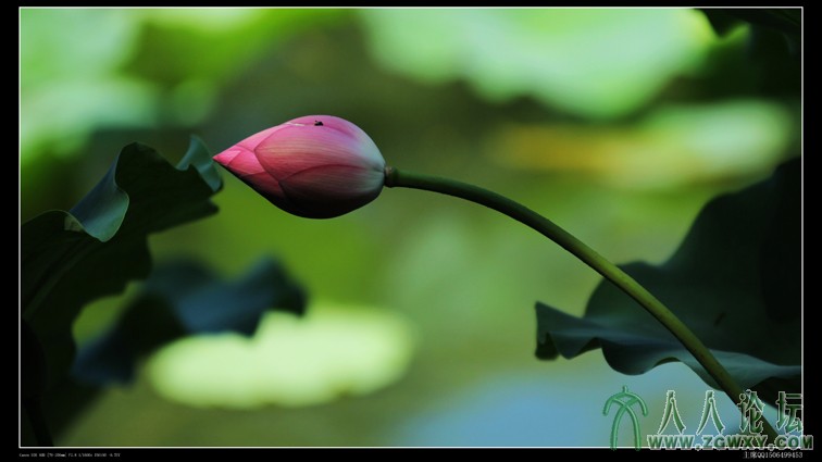 主席 1506499453@qq.com 2.jpg