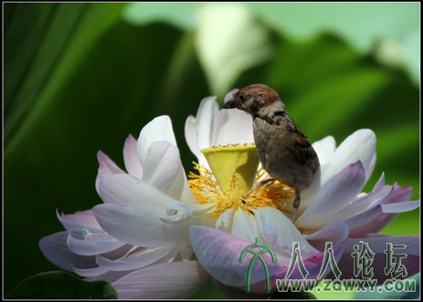 主席 1506499453@qq.com 3.jpg