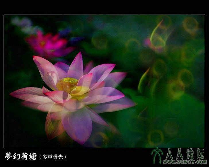 梦幻荷塘（多重曝光）_缩小大小.jpg