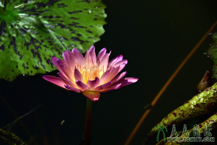 遇见美丽 (2).jpg