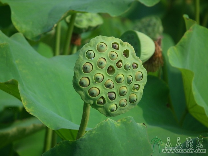 戴海平 dhp407@126.com 21.jpg