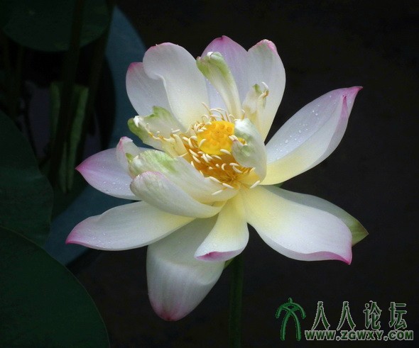 戴海平 dhp407@126.com 15.jpg