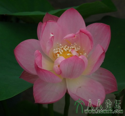 戴海平 dhp407@126.com 17.jpg