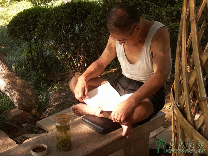 0心静自然凉。莲花池公园一角，一位老先生在清净处凉着一杯茶，聚精会神地看书。许先.jpg